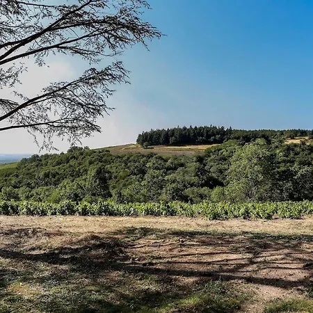 L'ermitage De Brouilly *