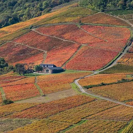 L'ermitage De Brouilly ベッド・アンド・ブレックファスト