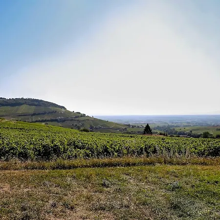 L'ermitage De Brouilly Bed & Breakfast Odenas