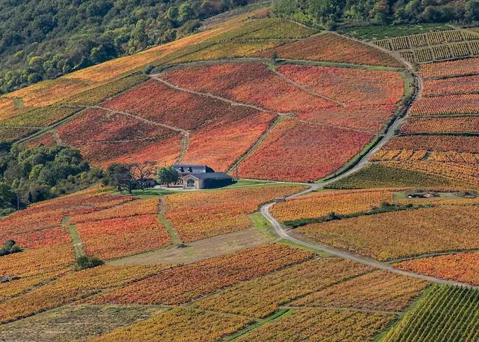 L'ermitage De Brouilly Oda ve Kahvaltı
