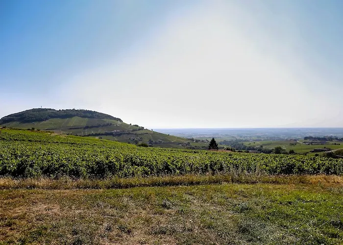 L'ermitage De Brouilly Oda ve Kahvaltı Odenas